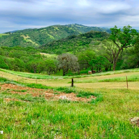 Meet your Posher, hawngirly - Picture 1 of 1